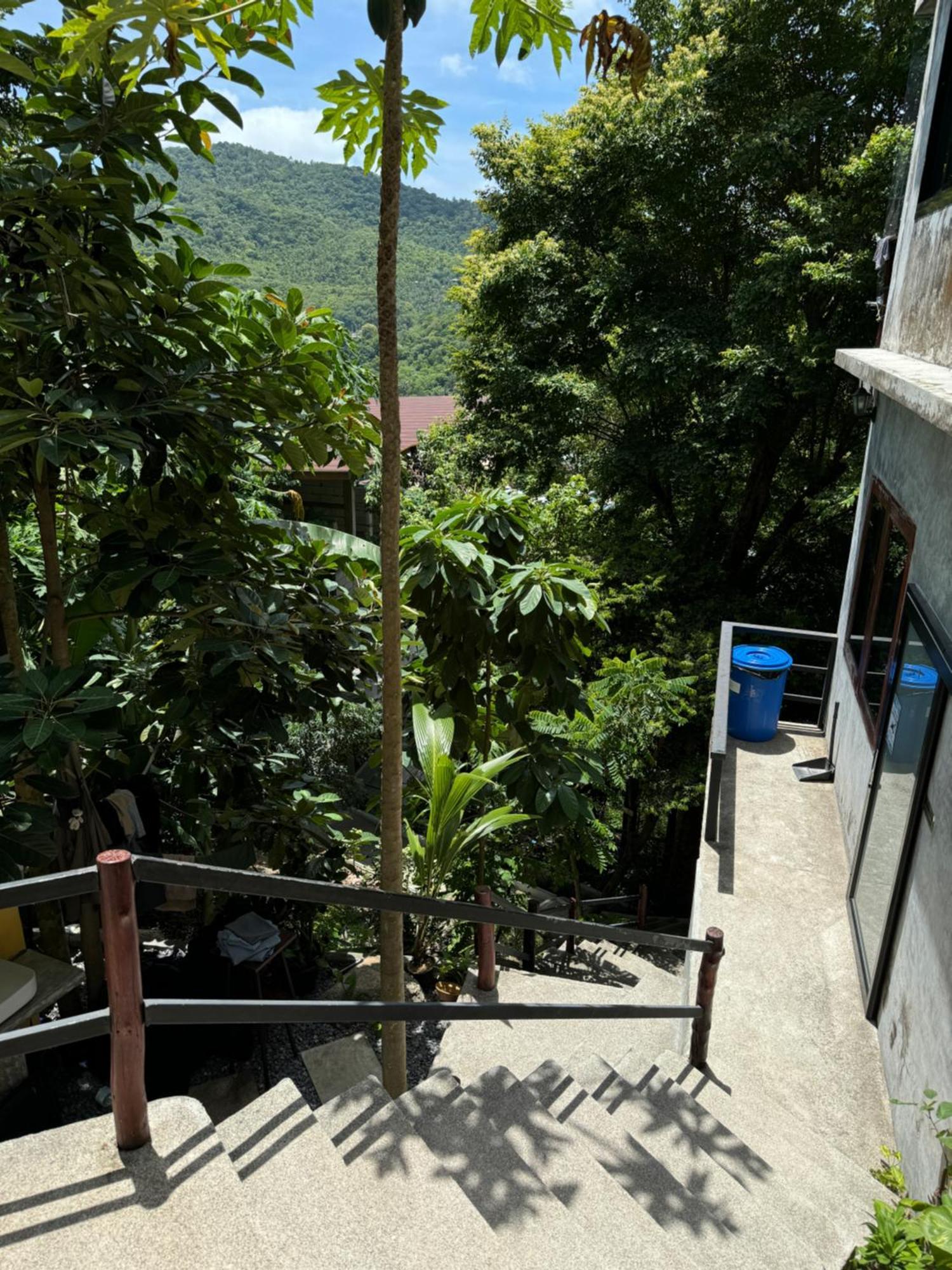 Deishaview Jungle Hostel Koh Tao Exterior photo